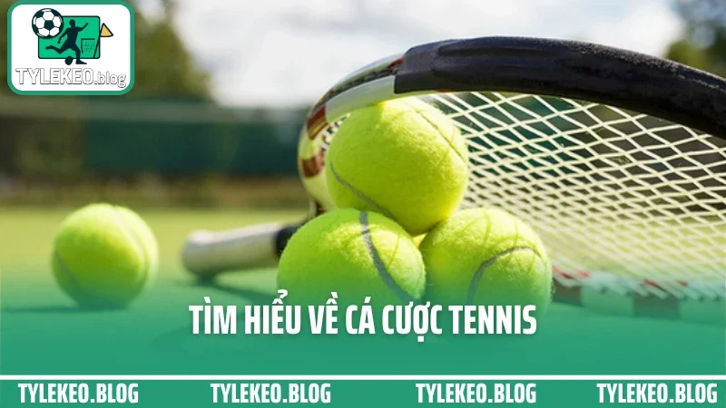 Tìm hiểu về cá cược tennis