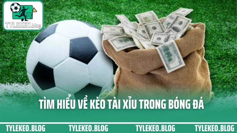 Bắt kèo tài xỉu sao cho chuẩn? Mẹo xem biến động kèo trước giờ lăn bóng 1 Tìm hiểu về kèo tài xỉu trong bóng đá