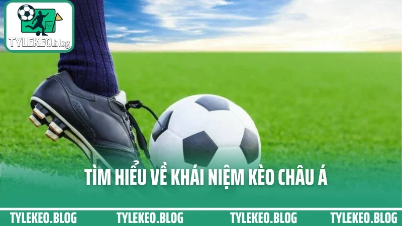 Cách đánh kèo châu á hiệu quả - chọn cửa trên dưới không dựa may rủi 1 Tìm hiểu về khái niệm kèo châu á