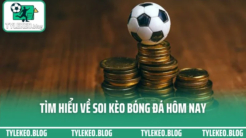 Mẹo soi kèo hôm nay - cách đọc biến động odds trước giờ bóng lăn 1 Tìm hiểu về soi kèo bóng đá hôm nay