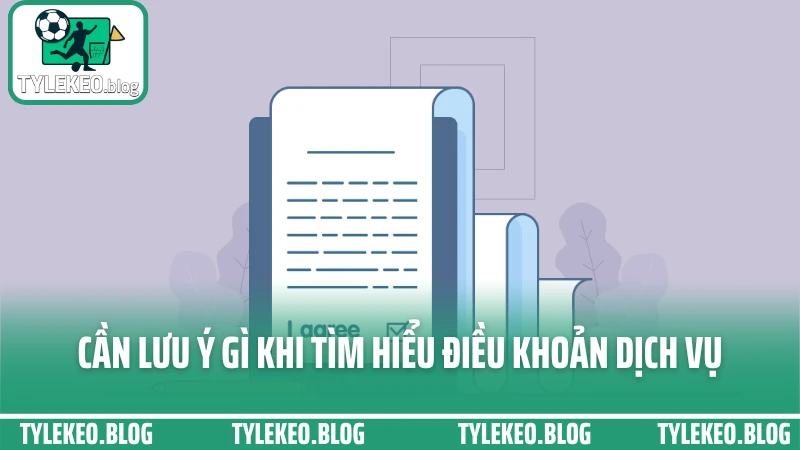 Cần lưu ý gì khi tìm hiểu điều khoản