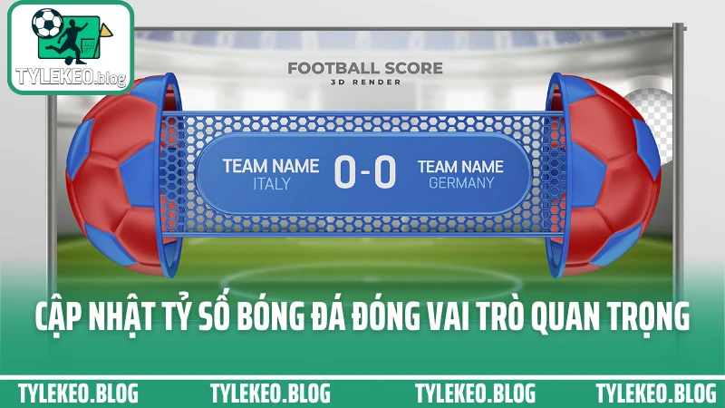 Cập nhật tỷ số bóng đá đóng vai trò quan trọng