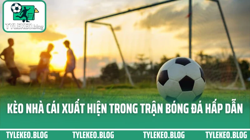 Tỷ lệ kèo nhà cái xuất hiện trong trận đấu tại Tylekeo.blog