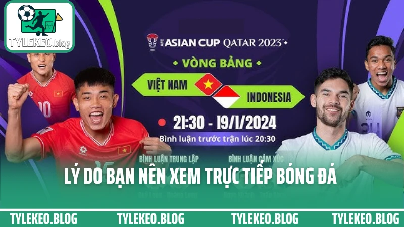 Lý do bạn nên xem Livescore bóng đá tại tylekeo.blog