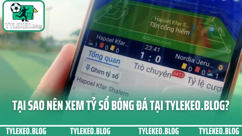 Tại sao nên xem tỷ số bóng đá tại tylekeo.blog?